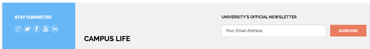 social_and_wysija_screen 2
